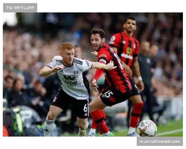 富勒姆主场战绩出色 防守组织成保级基石